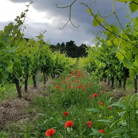 Pensión Chateau La Villatade 4*